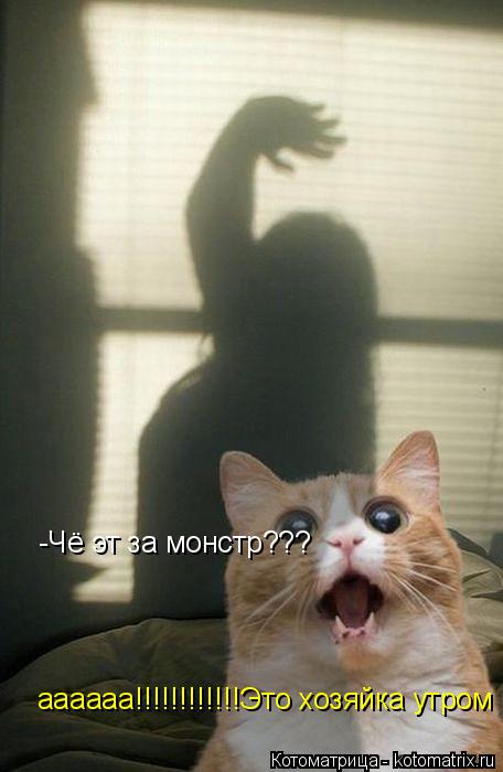 -Чё эт за монстр??? аааааа!!!!!!!!!!!!Это хозяйксм аааааа!!!!!!!!!!!!Это хозяйка утром... Котоматрица: -Чё эт за монстр??? аааааа!!!!!!!!!!!!Это хозяйксм аааааа!!!!!!!!!!!!Это хозяйка утром