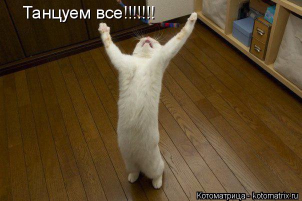 Танцуем все!!!!!!!... Котоматрица: Танцуем все!!!!!!!