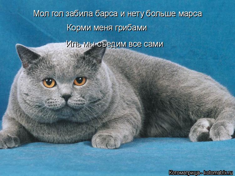 Мол гол забила барса и нету больше марса Корми меня грибами Иль мы съедим все сами... Котоматрица: Мол гол забила барса и нету больше марса Корми меня грибами Иль мы съедим все сами
