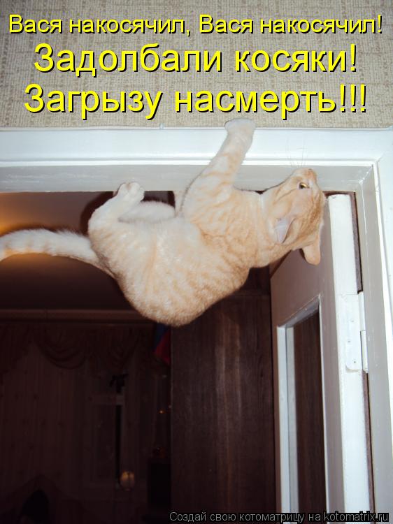 Вася накосячил, Вася накосячил! Задолбали косяки! Загрызу насмерть!!!... Котоматрица: Вася накосячил, Вася накосячил! Задолбали косяки! Загрызу насмерть!!!