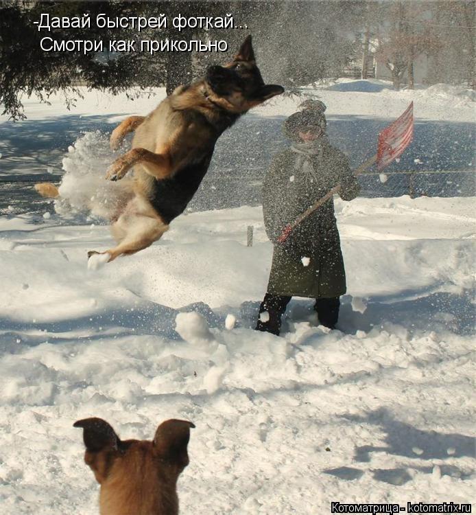 -Давай быстрей фоткай... Смотри как прикольно... Котоматрица: -Давай быстрей фоткай... Смотри как прикольно