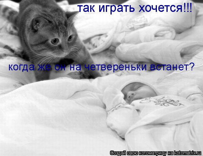 так играть хочется!!! когда же он на четвереньки встанет?... Котоматрица: так играть хочется!!! когда же он на четвереньки встанет?