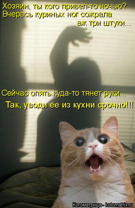 Хозяин, ты кого привел-то ночью? Вчерась куриных ног сожрала аж три штуки... Сейчас опять куда-то тян... Котоматрица: Хозяин, ты кого привел-то ночью? Вчерась куриных ног сожрала аж три штуки... Сейчас опять куда-то тянет руки... Так, уводи ее из кухни срочно!!!
