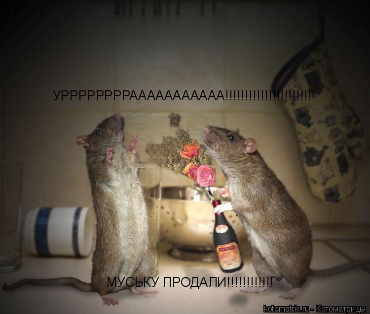 УРРРРРРРРААААААААААА!!!!!!!!!!!!!!!!!!!!!! МУСЬКУ ПРОДАЛИ!!!!!!!!!!!!... Котоматрица: УРРРРРРРРААААААААААА!!!!!!!!!!!!!!!!!!!!!! МУСЬКУ ПРОДАЛИ!!!!!!!!!!!!
