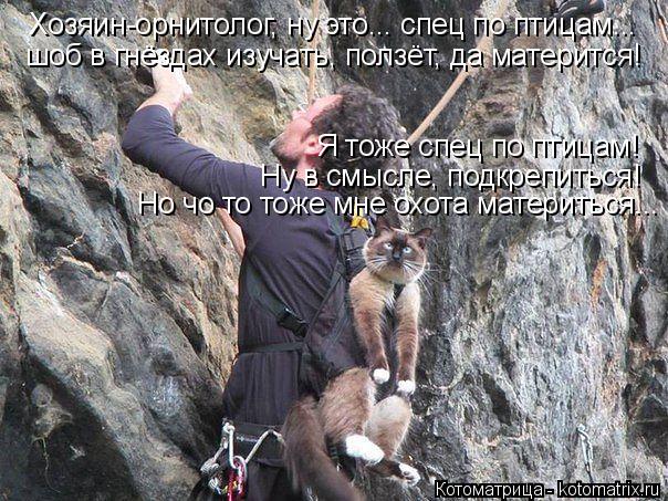 Хозяин-орнитолог, ну это... спец по птицам... шоб в гнёздах изучать, ползёт, да матерится! Я тоже спе... Котоматрица: Хозяин-орнитолог, ну это... спец по птицам... шоб в гнёздах изучать, ползёт, да матерится! Я тоже спец по птицам! Ну в смысле, подкрепиться! Но чо