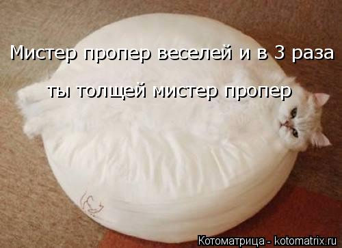 Мистер пропер веселей и в 3 раза ты толщей мистер пропер... Котоматрица: Мистер пропер веселей и в 3 раза ты толщей мистер пропер