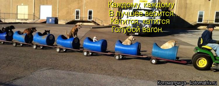 Каждому, каждому В лучшее верится... Катится, катится Голубой вагон.... Котоматрица: Каждому, каждому В лучшее верится... Катится, катится Голубой вагон.
