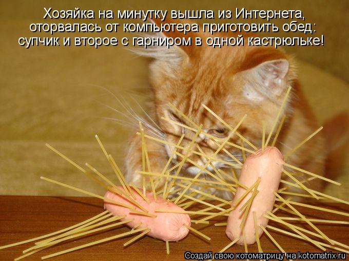 Хозяйка на минутку вышла из Интернета, оторвалась от компьютера приготовить обед: супчик и второе с... Котоматрица: Хозяйка на минутку вышла из Интернета, оторвалась от компьютера приготовить обед: супчик и второе с гарниром в одной кастрюльке!