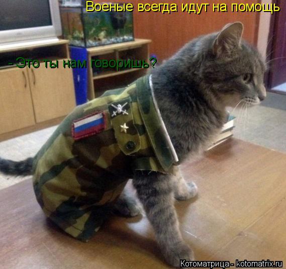 Военые всегда идут на помощь - Это ты нам говоришь?... Котоматрица: Военые всегда идут на помощь - Это ты нам говоришь?