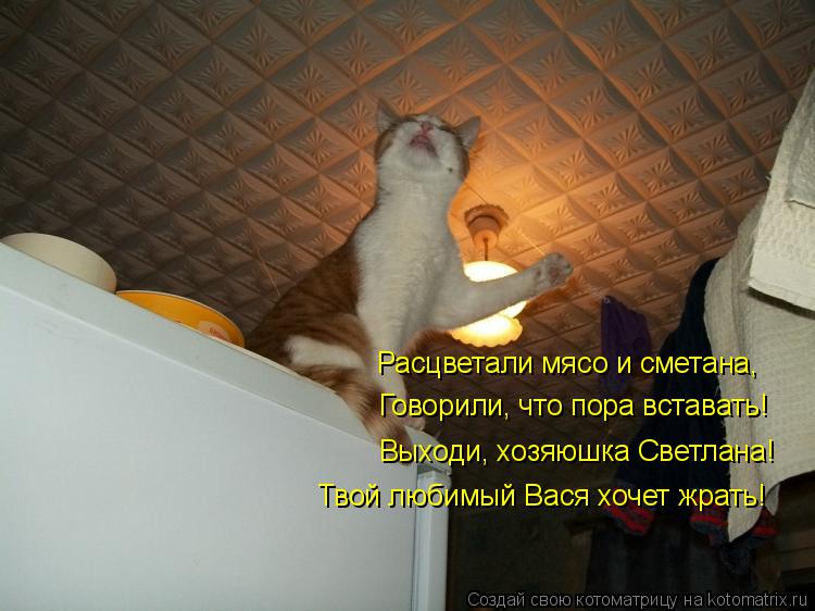 Расцветали мясо и сметана, Расцветали мясо и сметана, Говорили, что пора вставать! Выходи, хозяюшка... Котоматрица: Расцветали мясо и сметана, Расцветали мясо и сметана, Говорили, что пора вставать! Выходи, хозяюшка Светлана! Твой любимый Вася хочет жрать