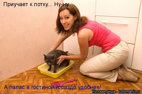 Котоматрица: Приучает к лотку... Ну-ну... А палас в гостиной гораздо удобнее!