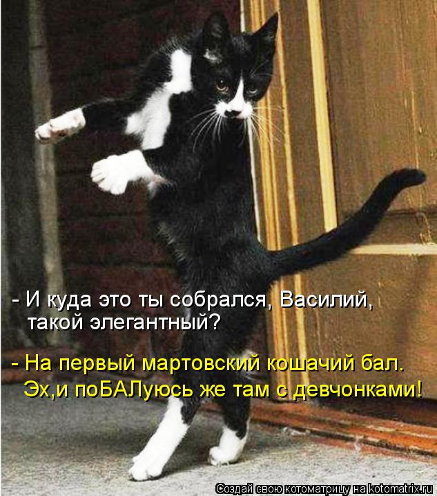 - И куда это ты собрался, Василий, такой элегантный? - На первый мартовский кошачий бал. Эх,и поБАЛую... Котоматрица: - И куда это ты собрался, Василий, такой элегантный? - На первый мартовский кошачий бал. Эх,и поБАЛуюсь же там с девчонками!