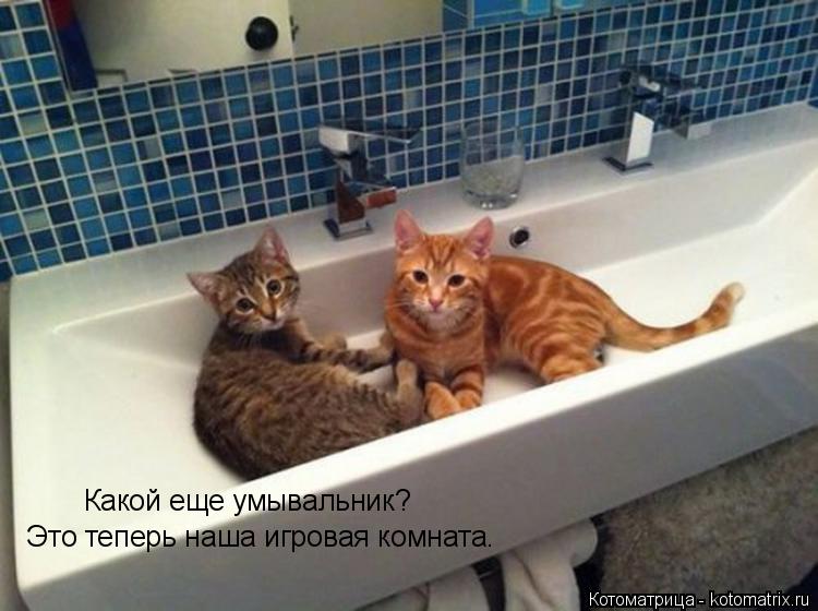 Какой еще умывальник? Это теперь наша игровая комната.... Котоматрица: Какой еще умывальник? Это теперь наша игровая комната.