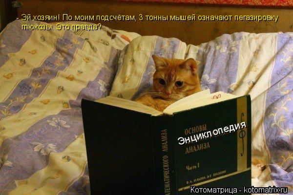 - Эй хозяин! По моим подсчётам, 3 тонны мышей означают пегазировку глюкозы. Это правда? Энциклопедия... Котоматрица: - Эй хозяин! По моим подсчётам, 3 тонны мышей означают пегазировку глюкозы. Это правда? Энциклопедия