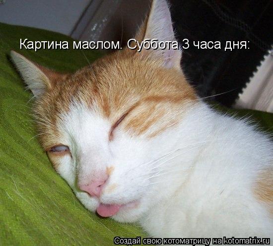 Картина маслом. Суббота 3 часа дня:... Котоматрица: Картина маслом. Суббота 3 часа дня: