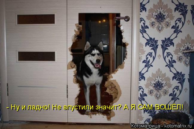 Котоматрица: - Ну и ладно! Не впустили значит? А Я САМ ВОШЁЛ!