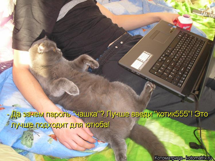 - Да зачем пароль "чашка"? Лучше введи "котик555"! Это лучше подходит для ютюба!... Котоматрица: - Да зачем пароль "чашка"? Лучше введи "котик555"! Это лучше подходит для ютюба!