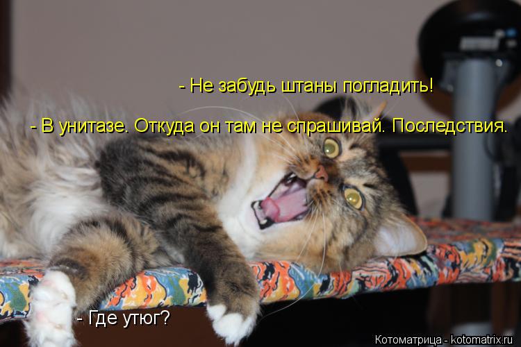 - Не забудь штаны погладить! - Где утюг? - В унитазе. Откуда он там не спрашивай. Последствия.... Котоматрица: - Не забудь штаны погладить! - Где утюг? - В унитазе. Откуда он там не спрашивай. Последствия.