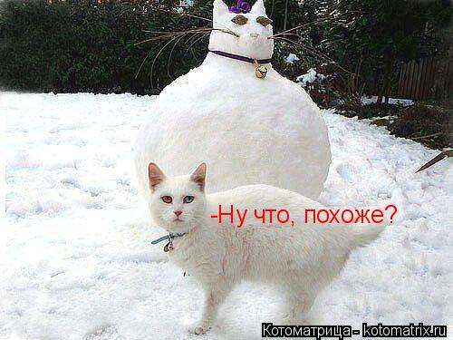 -Ну что, похоже?... Котоматрица: -Ну что, похоже?