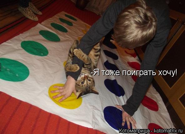 -Я тоже поиграть хочу!... Котоматрица: -Я тоже поиграть хочу!