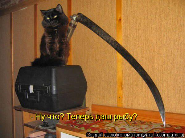 - Ну что? Теперь даш рыбу?... Котоматрица: - Ну что? Теперь даш рыбу?