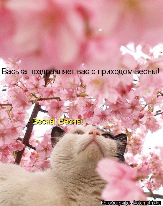 - Весна! Весна! Васька поздравляет вас с приходом весны!... Котоматрица: - Весна! Весна! Васька поздравляет вас с приходом весны!