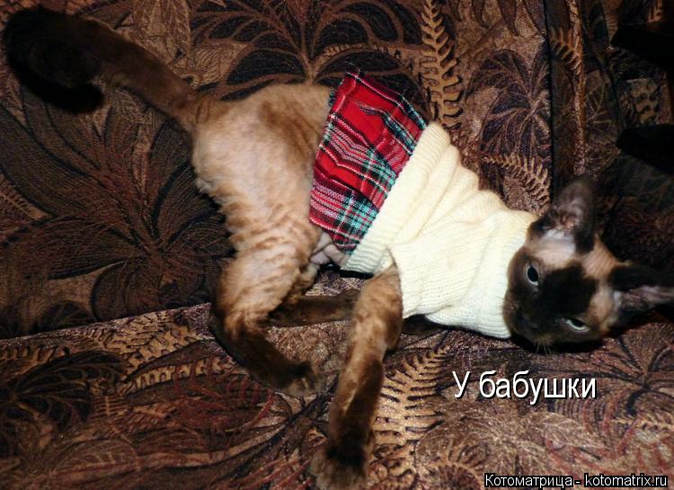 У бабушки... Котоматрица: У бабушки