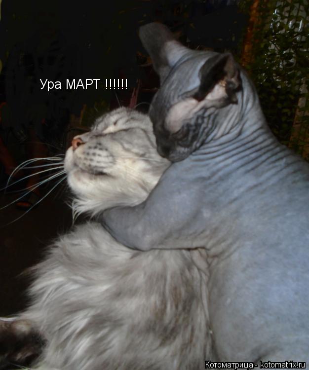 Ура МАРТ !!!!!!... Котоматрица: Ура МАРТ !!!!!!