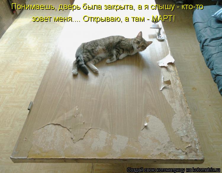 Понимаешь, дверь была закрыта, а я слышу - кто-то зовет меня.... Открываю, а там - МАРТ!... Котоматрица: Понимаешь, дверь была закрыта, а я слышу - кто-то зовет меня.... Открываю, а там - МАРТ!