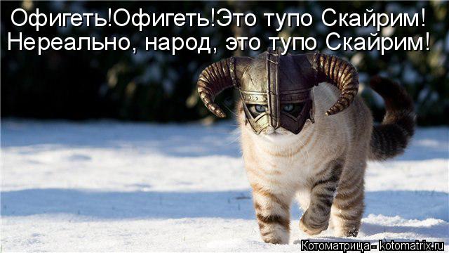 Офигеть!Офигеть!Это тупо Скайрим! Нереально, народ, это тупо Скайрим!... Котоматрица: Офигеть!Офигеть!Это тупо Скайрим! Нереально, народ, это тупо Скайрим!