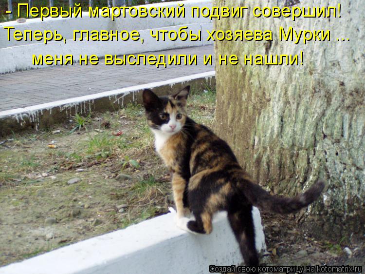 - Первый мартовский подвиг совершил! Теперь, главное, чтобы хозяева Мурки ... меня не выследили и не ... Котоматрица: - Первый мартовский подвиг совершил! Теперь, главное, чтобы хозяева Мурки ... меня не выследили и не нашли!