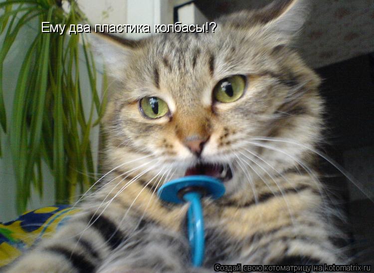Ему два пластика колбасы!?... Котоматрица: Ему два пластика колбасы!?
