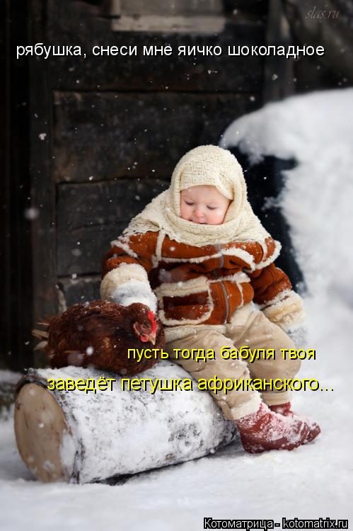 рябушка, снеси мне яичко шоколадное пусть тогда бабуля твоя заведёт петушка африканского...... Котоматрица: рябушка, снеси мне яичко шоколадное пусть тогда бабуля твоя заведёт петушка африканского...