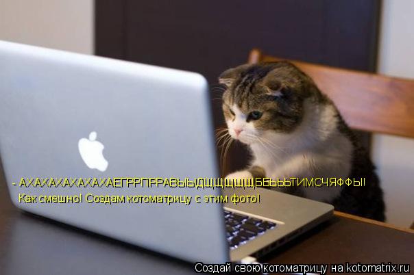 Котоматрица: - АХАХАХАХАХАХАЕГРРПРРАВЫЫДЩЩЩЩЩББЬЬЬТИМСЧЯФФЫ! Как смешно! Создам котоматрицу с этим фото!