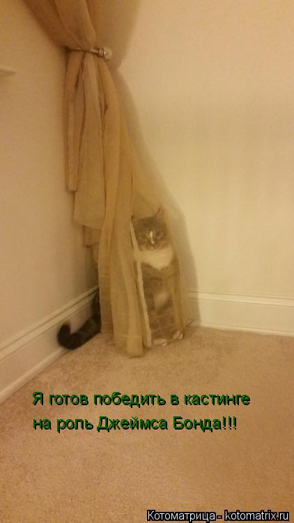 Котоматрица: Я готов победить в кастинге на роль Джеймса Бонда!!!
