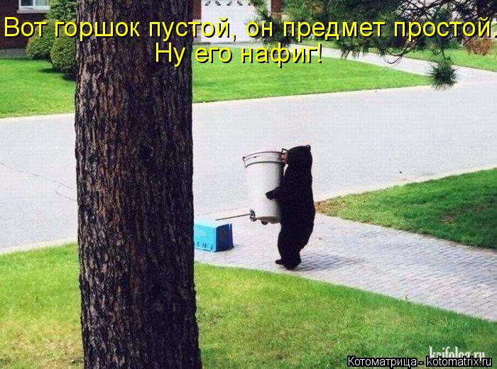 Ну его нафиг! Вот горшок пустой, он предмет простой..... Котоматрица: Ну его нафиг! Вот горшок пустой, он предмет простой..