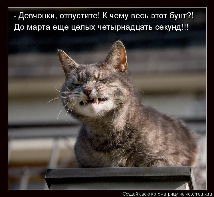 - Девчонки, отпустите! К чему весь этот бунт?! До марта еще целых четырнадцать секунд!!!... Котоматрица: - Девчонки, отпустите! К чему весь этот бунт?! До марта еще целых четырнадцать секунд!!!