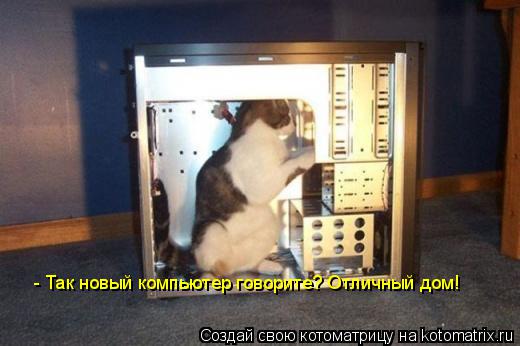 - Так новый компьютер говорите? Отличный дом!... Котоматрица: - Так новый компьютер говорите? Отличный дом!