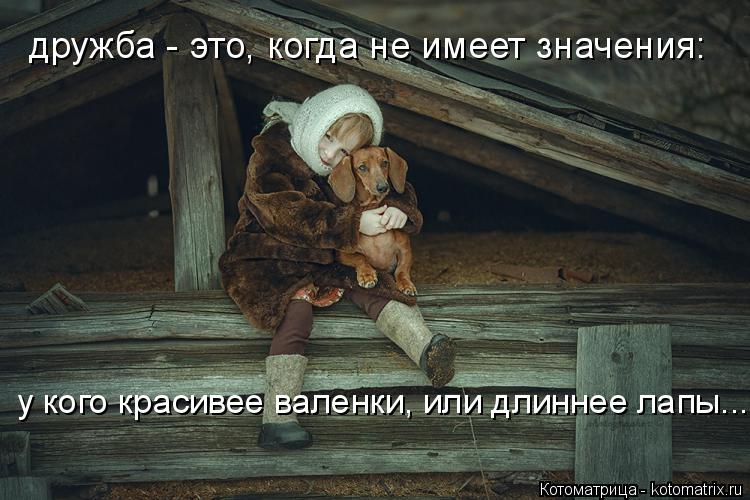 дружба - это, когда не имеет значения: у кого красивее валенки, или длиннее лапы...... Котоматрица: дружба - это, когда не имеет значения: у кого красивее валенки, или длиннее лапы...