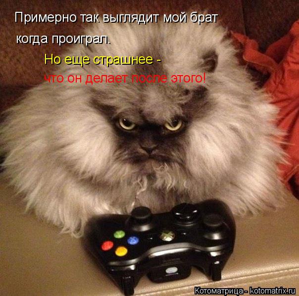 Примерно так выглядит мой брат когда проиграл. Но еще страшнее - что он делает после этого!... Котоматрица: Примерно так выглядит мой брат когда проиграл. Но еще страшнее - что он делает после этого!