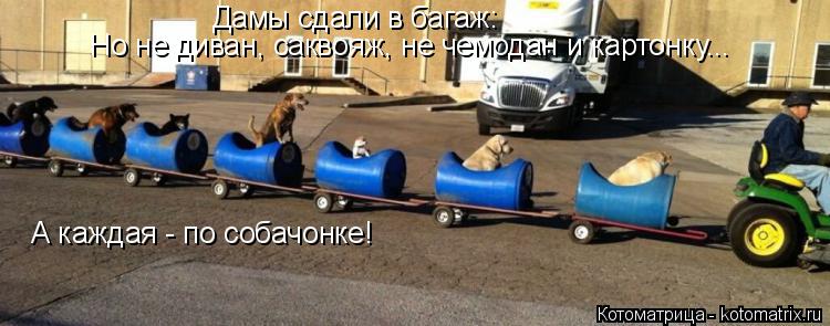 Дамы сдали в багаж: Но не диван, саквояж, не чемодан и картонку... А каждая - по собачонке!... Котоматрица: Дамы сдали в багаж: Но не диван, саквояж, не чемодан и картонку... А каждая - по собачонке!