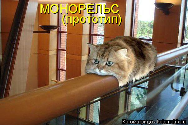 МОНОРЕЛЬС (прототип)... Котоматрица: МОНОРЕЛЬС (прототип)