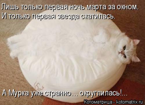 Лишь только первая ночь марта за окном. И только первая звезда скатилась. А Мурка уже странно… округл... Котоматрица: Лишь только первая ночь марта за окном. И только первая звезда скатилась. А Мурка уже странно… округлилась!...