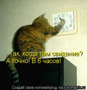 Котоматрица: - Так, когда там свидание? А точно! В 6 часов!