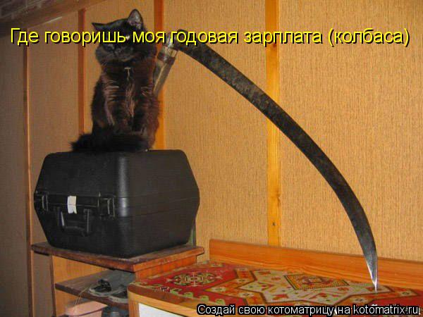 Где говоришь моя годовая зарплата (колбаса)... Котоматрица: Где говоришь моя годовая зарплата (колбаса)