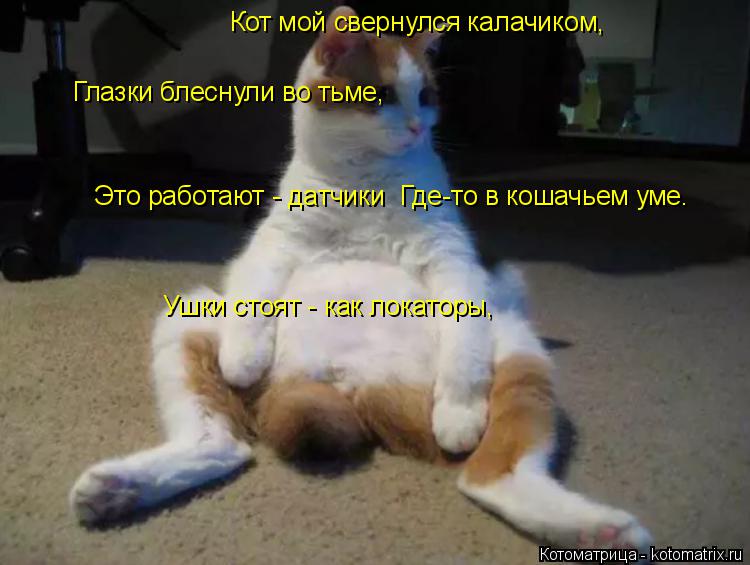 Кот мой свернулся калачиком, Глазки блеснули во тьме, Это работают - датчики Где-то в кошачьем уме... Котоматрица: Кот мой свернулся калачиком, Глазки блеснули во тьме, Это работают - датчики Где-то в кошачьем уме. Ушки стоят - как локаторы,