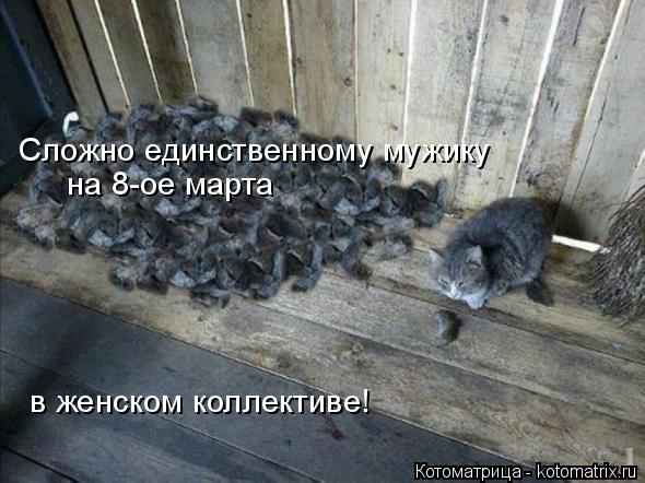 Сложно единственному мужику на 8-ое марта в женском коллективе!... Котоматрица: Сложно единственному мужику на 8-ое марта в женском коллективе!