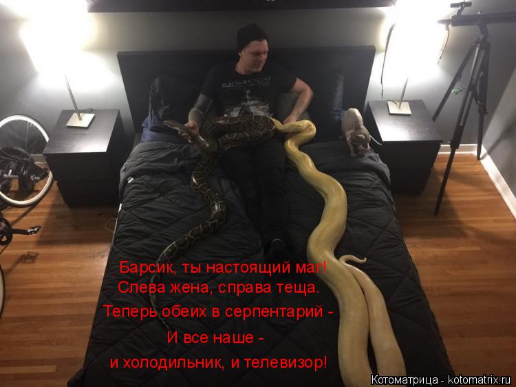 Барсик, ты настоящий маг! Слева жена, справа теща. Теперь обеих в серпентарий - И все наше - и холо... Котоматрица: Барсик, ты настоящий маг! Слева жена, справа теща. Теперь обеих в серпентарий - И все наше - и холодильник, и телевизор!