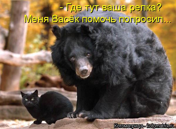 - Где тут ваша репка? Меня Васёк помочь попросил...... Котоматрица: - Где тут ваша репка? Меня Васёк помочь попросил...