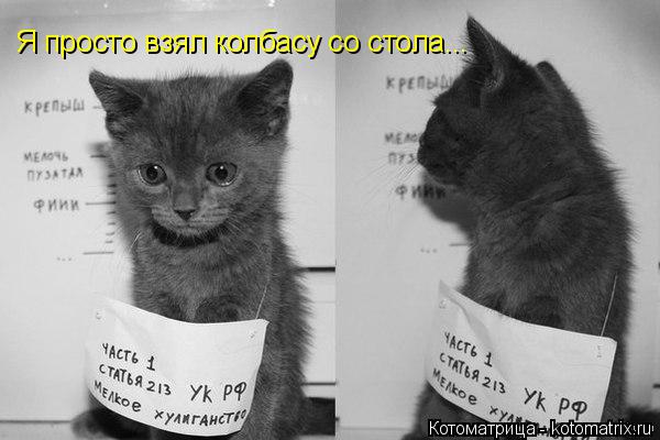 Я просто взял колбасу со стола...... Котоматрица: Я просто взял колбасу со стола...